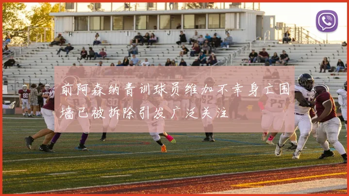 前阿森纳青训球员维加不幸身亡围墙已被拆除引发广泛关注