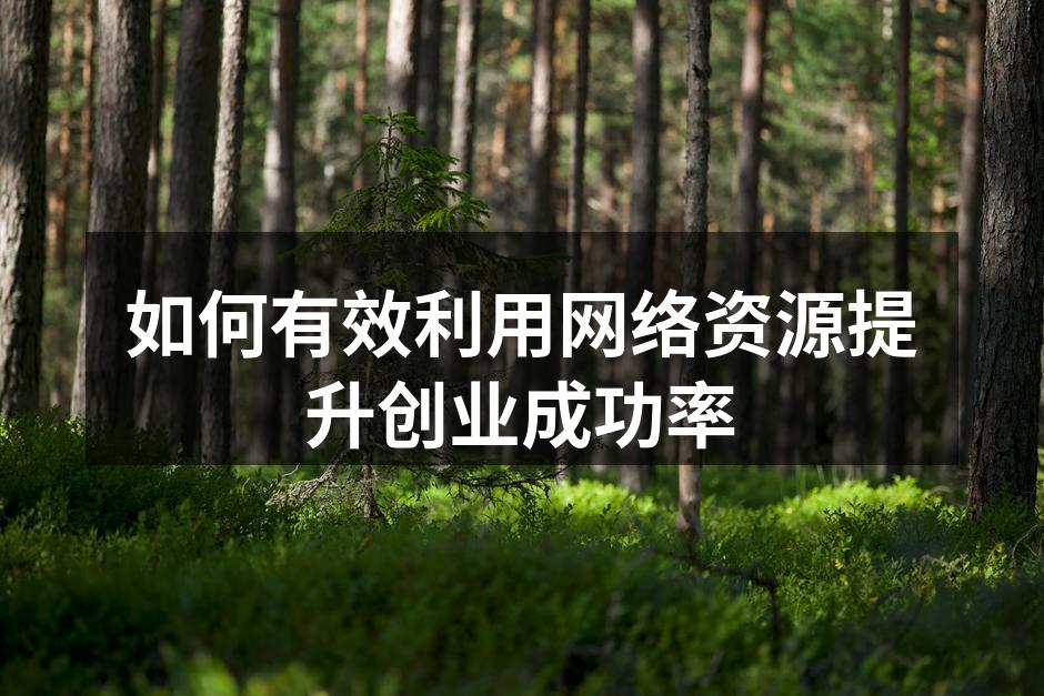如何有效利用网络资源提升创业成功率